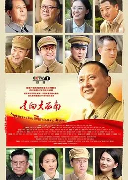 走向大西南海报